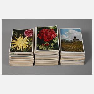 Konvolut Postkarten Carl Werner Reichenbach