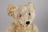 Großer Steiff Teddy