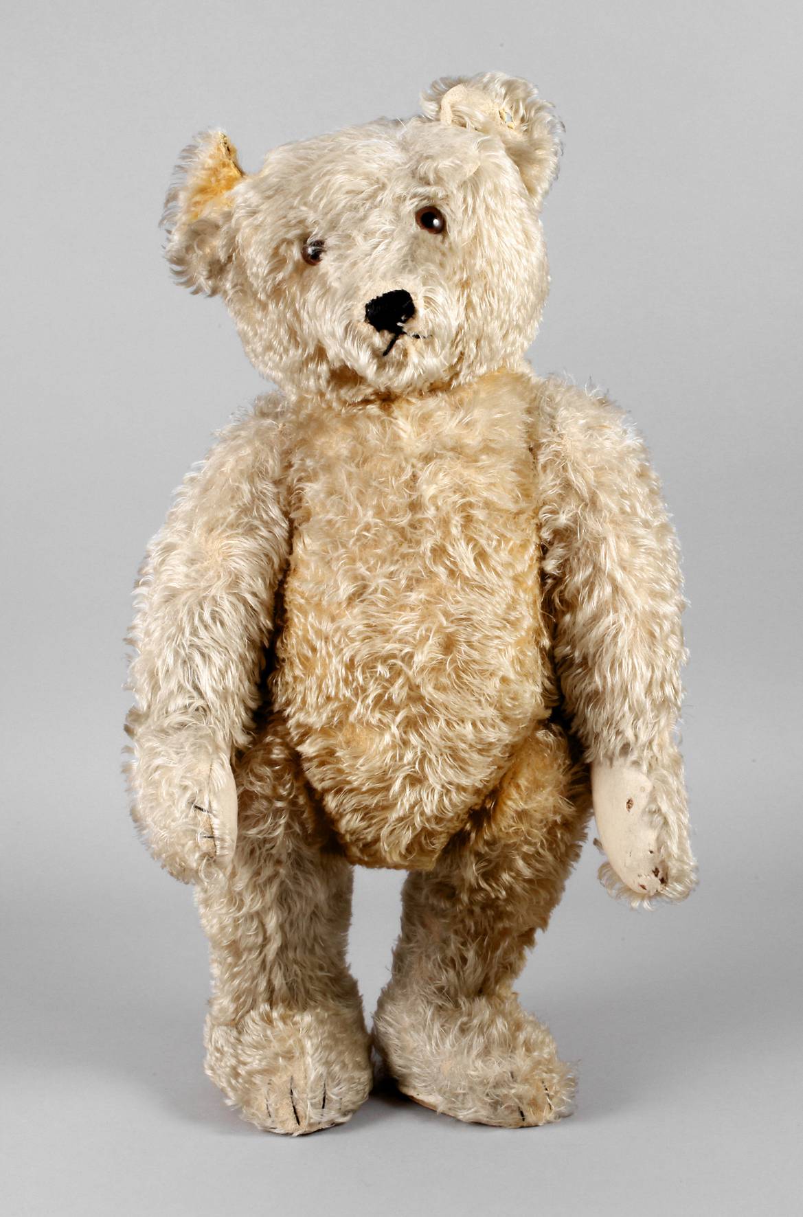 Großer Steiff Teddy