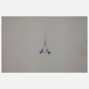 Meissen Jugendstilteller Irisdekor