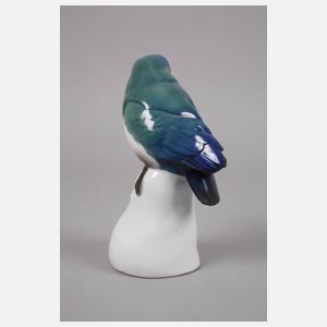 Ens Volkstedt Eisvogel