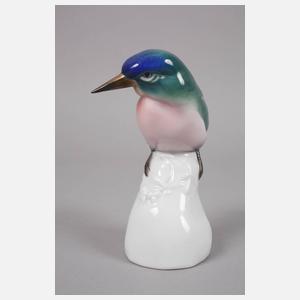 Ens Volkstedt Eisvogel