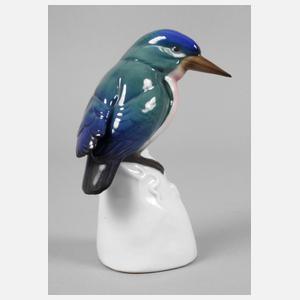 Ens Volkstedt Eisvogel