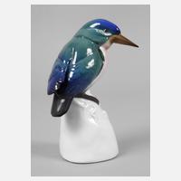 Ens Volkstedt Eisvogel111