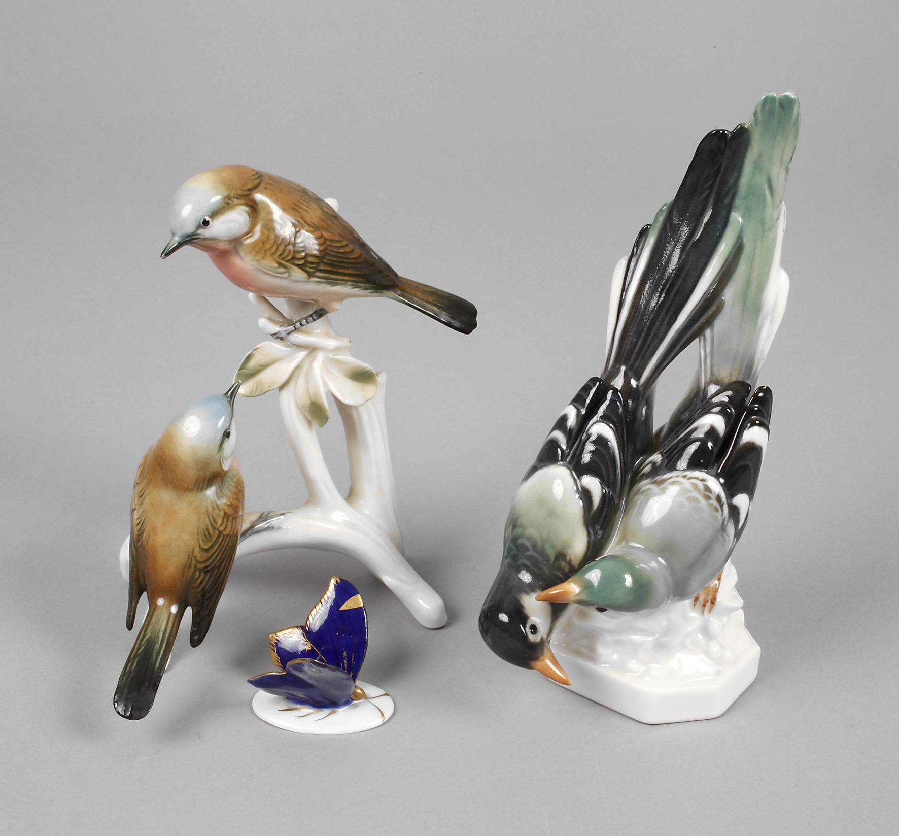 Ens Volkstedt zwei Vogelgruppen und ein Schmetterling