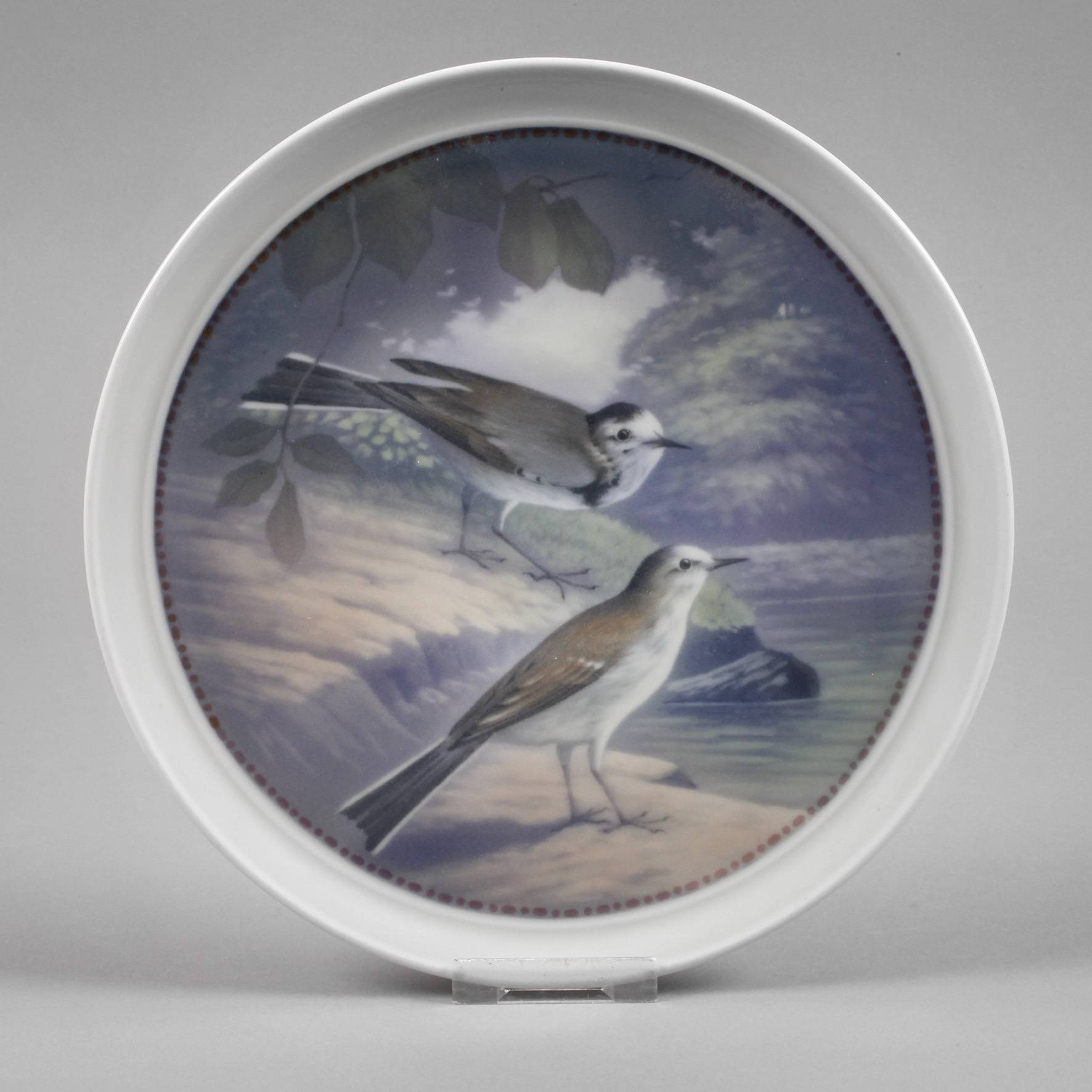 Fraureuth Wandteller Bachstelzen