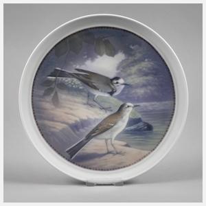 Fraureuth Wandteller Bachstelzen