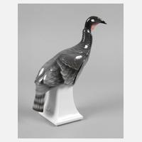 Hutschenreuther Junge Pute111