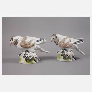 Meissen Paar Trommeltauben (Pigeon)