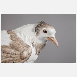 Meissen Paar Trommeltauben (Pigeon)