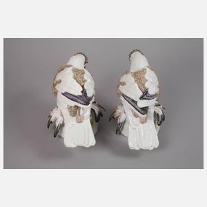 Meissen Paar Trommeltauben (Pigeon)