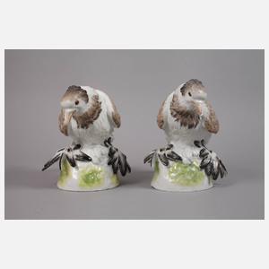 Meissen Paar Trommeltauben (Pigeon)
