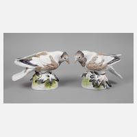 Meissen Paar Trommeltauben (Pigeon)111