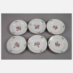 Meissen Kaffeeservice Rote Rose