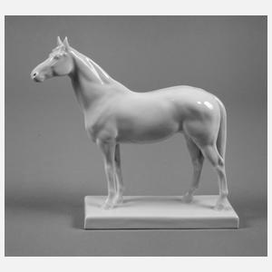 Meissen Rennpferd ”Alchimist”