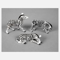 Metzler & Ortloff drei Miniatur-Zebras111