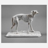 Nymphenburg Windhund111