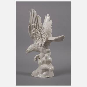 Schierholz Plaue Raubvogel