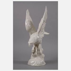 Schierholz Plaue Raubvogel