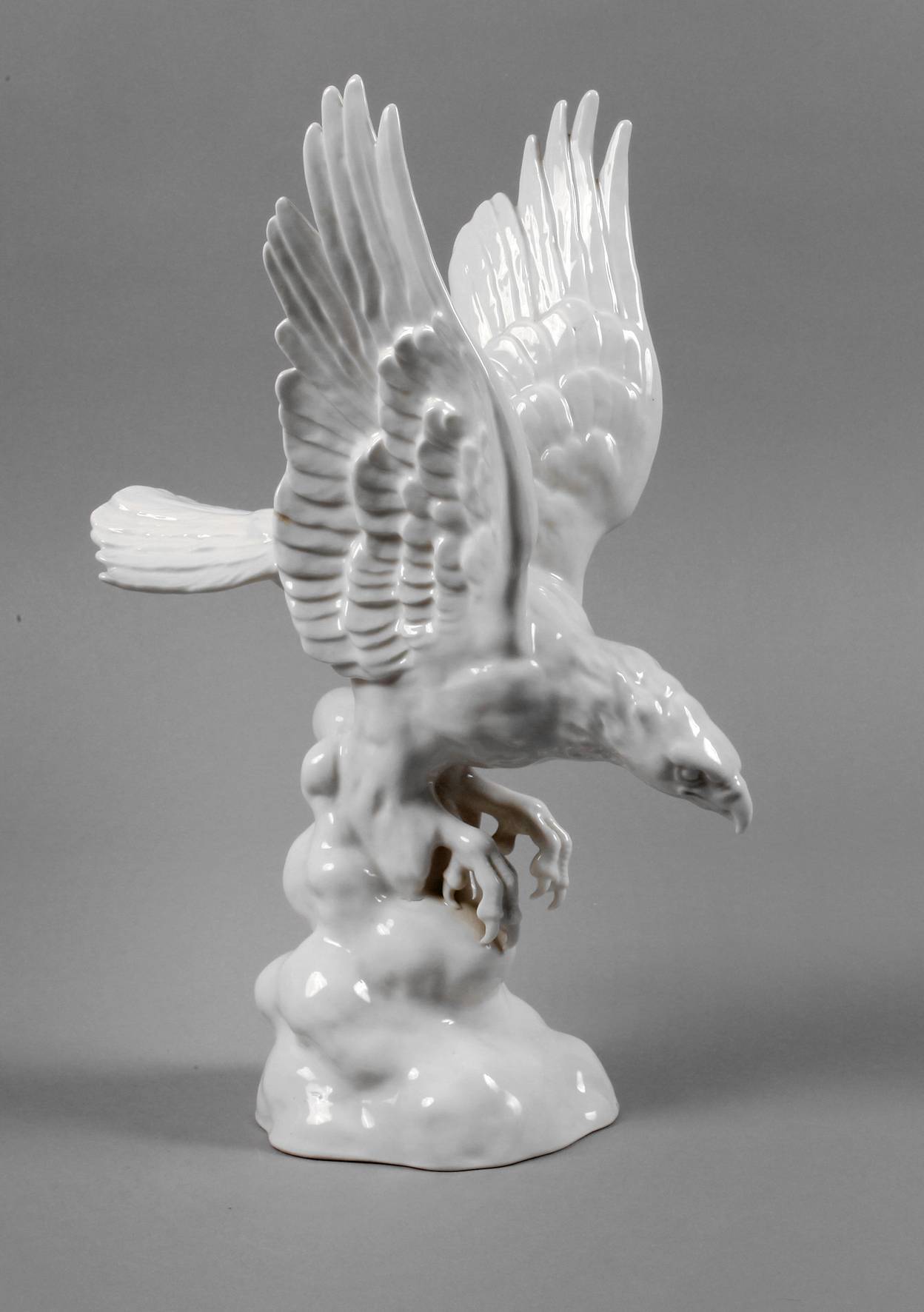 Schierholz Plaue Raubvogel