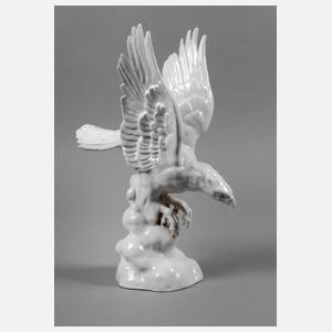 Schierholz Plaue Raubvogel