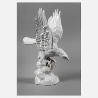 Schierholz Plaue Raubvogel111