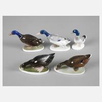 Rosenthal 5 Enten111