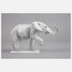 Rosenthal Elefant