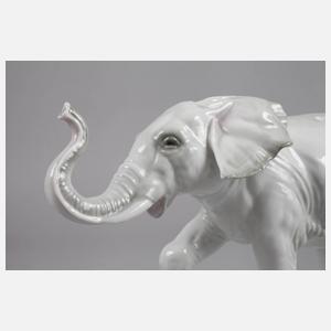 Rosenthal Elefant