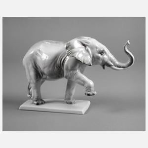Rosenthal Elefant