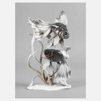 Rosenthal große Schleierschwanzgruppe111