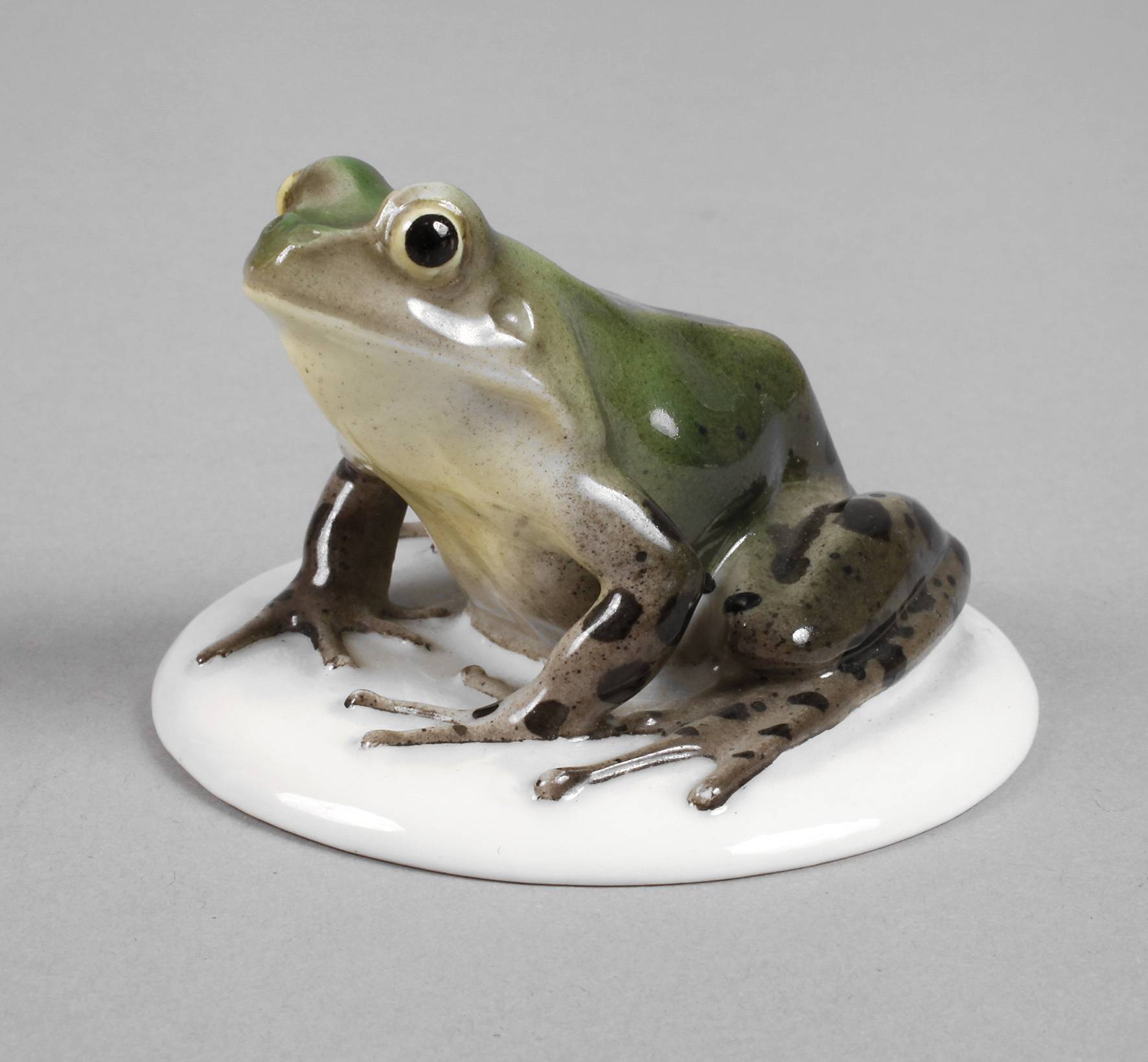 Rosenthal Laubfrosch