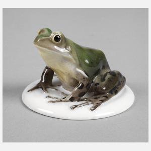 Rosenthal Laubfrosch