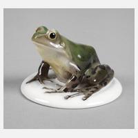 Rosenthal Laubfrosch111