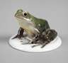 Rosenthal Laubfrosch