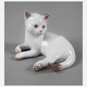 Royal Copenhagen liegende Katze