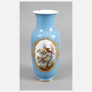 Sevres Vase Vogelmalerei
