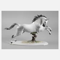 Theodor Kärner Springender Hengst111