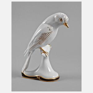 Zeh, Scherzer & Co. Eichelhäher