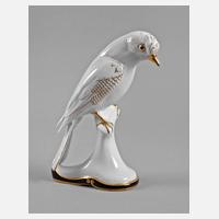 Zeh, Scherzer & Co. Eichelhäher111