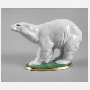 Zeh, Scherzer & Co. Eisbär