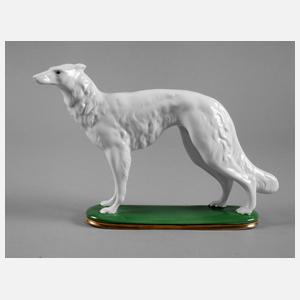 Zeh, Scherzer & Co. Windhund