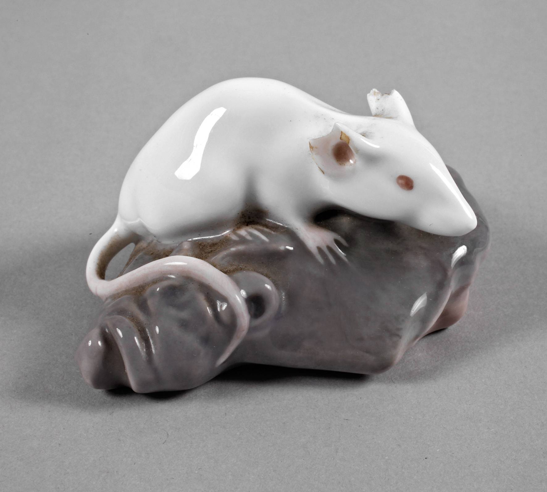 Copenhagen Maus auf Felsen