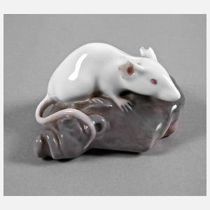 Copenhagen Maus auf Felsen