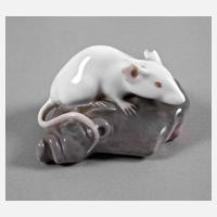 Copenhagen Maus auf Felsen111