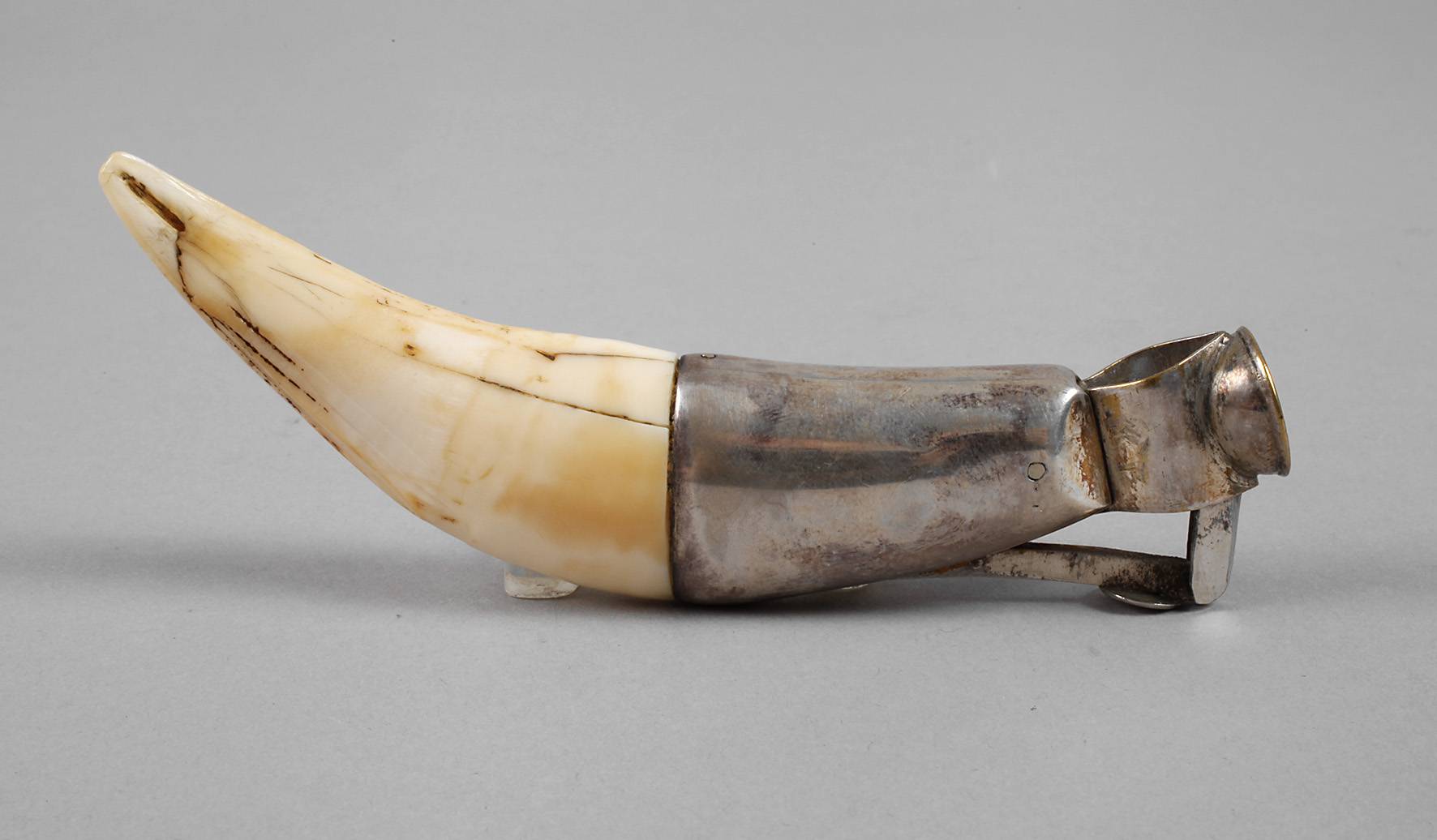 Zigarrenabschneider mit Eckzahn eines Löwen?