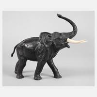 Indischer Elefant111