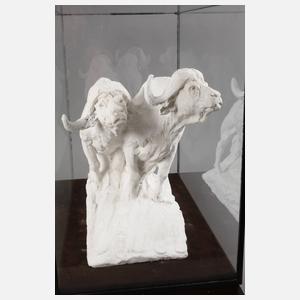 Dylan Lewis, Paar Wasserbüffel