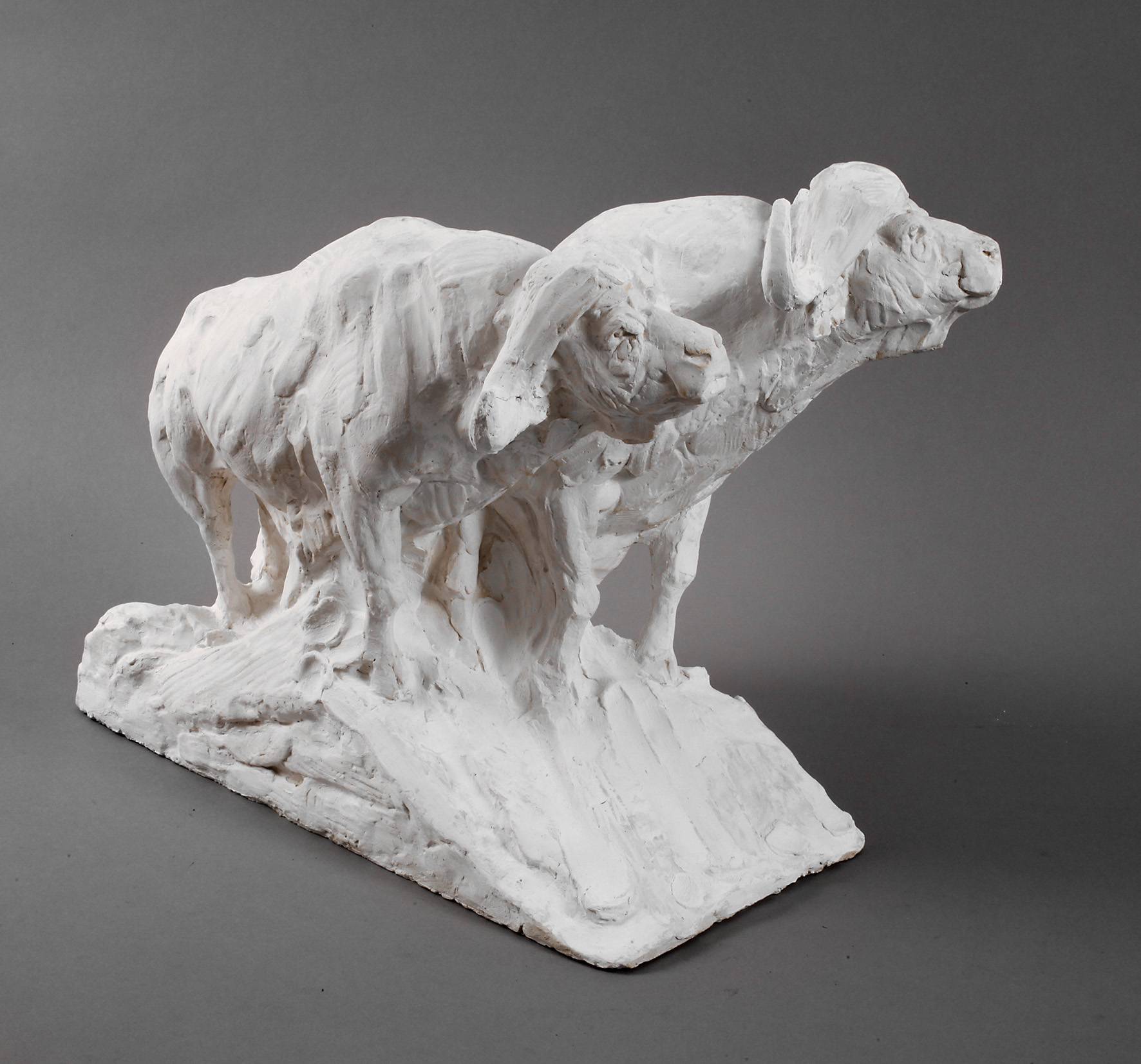 Dylan Lewis, Paar Wasserbüffel