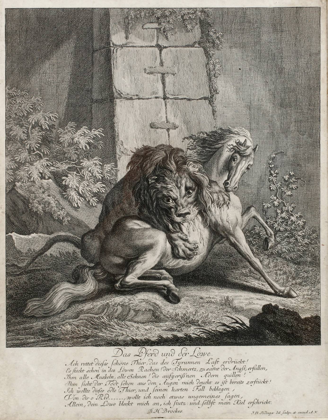 Johann Elias Ridinger, ”Das Pferd und der Löwe”